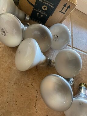 White R20 Reflector Flood Light Bulbs - Pack